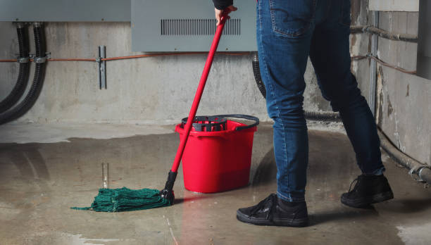 Best Water damage contractors near me  in Parker, TX