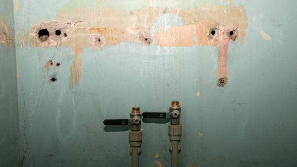  Parker, TX Water damage restoration Pros